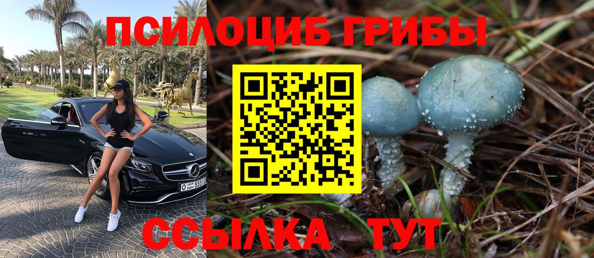 Чита  Галлюциногенные грибы мицелий  Вход с VPN  Галлюциногенные грибы Psilocybine cubensis 
